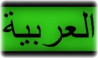 arabic translation, arabic language