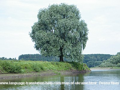 This single tree was so beautiful that I couldn't help taking a picture of it.